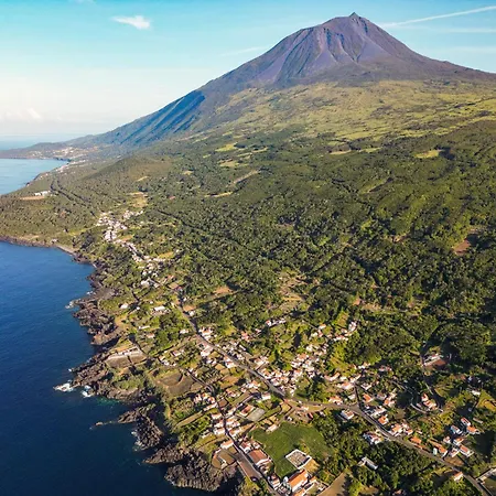 Gasthuis The Blue Eden *